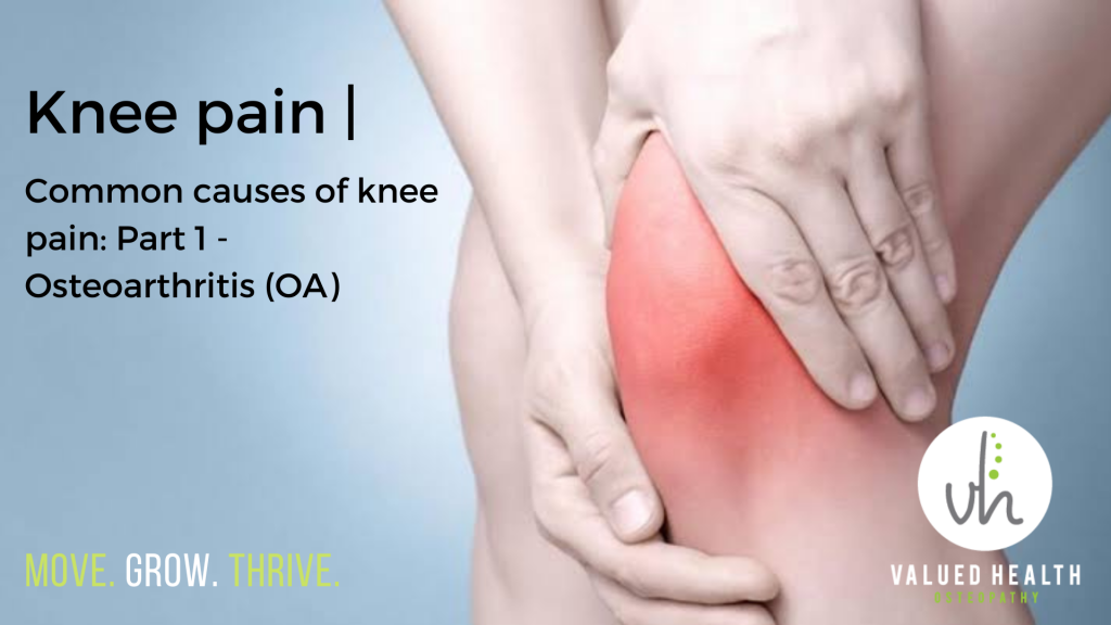 Osteoarthritis, knee pain, OA, Osteopath, Osteopath Bentleigh East, Osteo Bentleigh